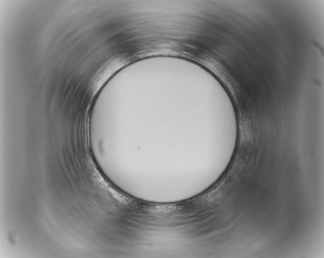 X0000102041290200808151358