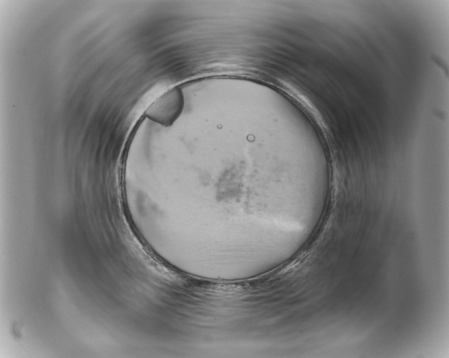 X0000102041291200808151358