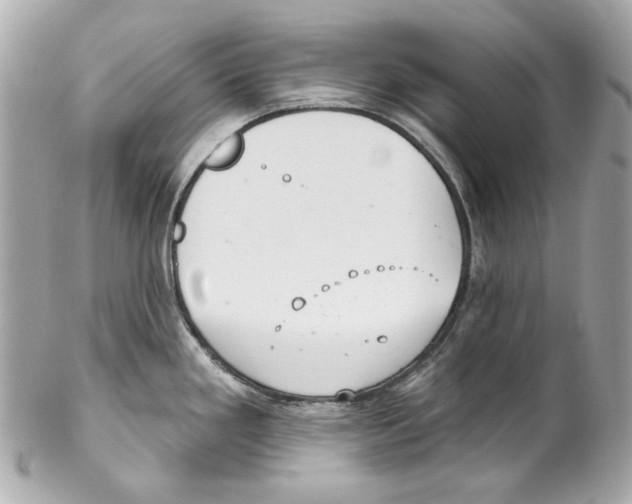 X0000102041293200808151358