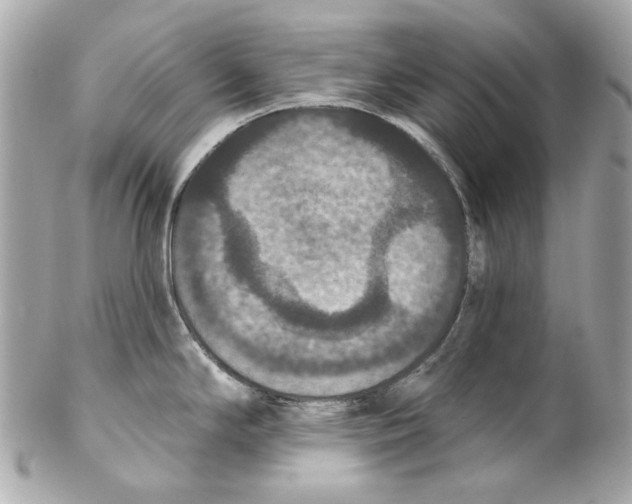 X0000102041294200808151358