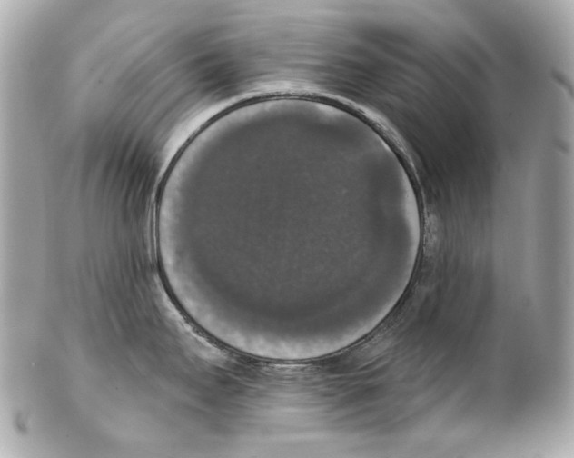 X0000102041295200808151358