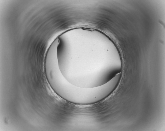 X0000102041296200808151358
