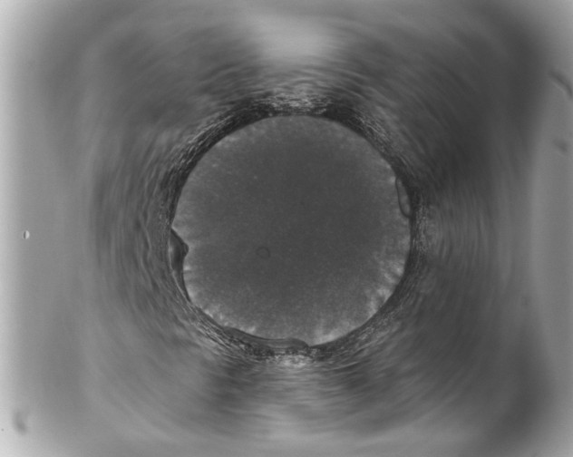 X0000102041297200808151357