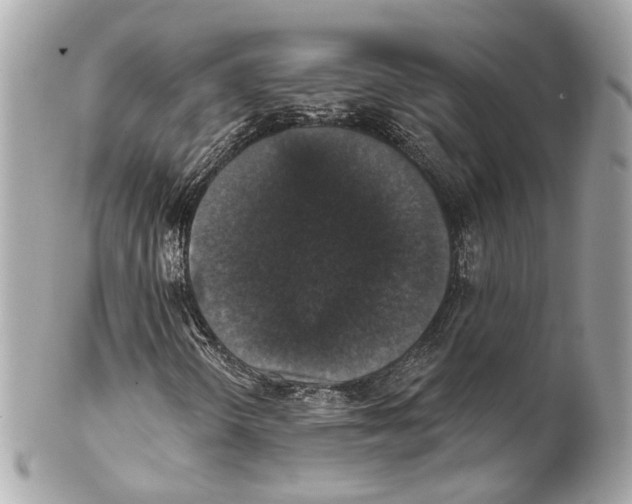 X0000102041298200808151357