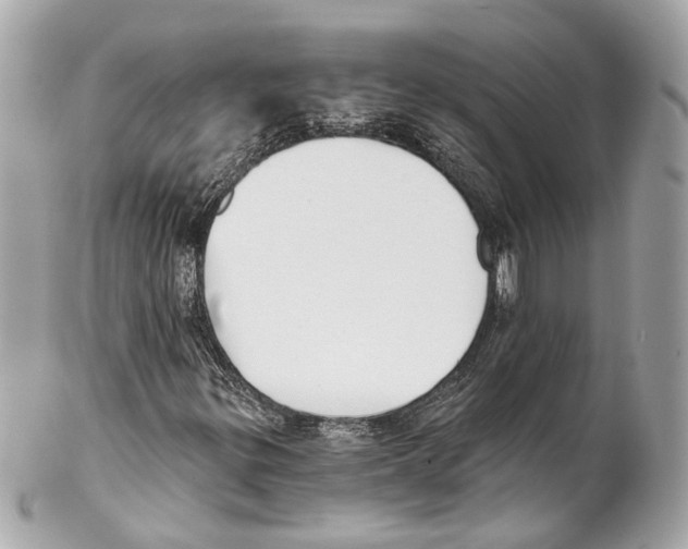 X0000102041299200808151357