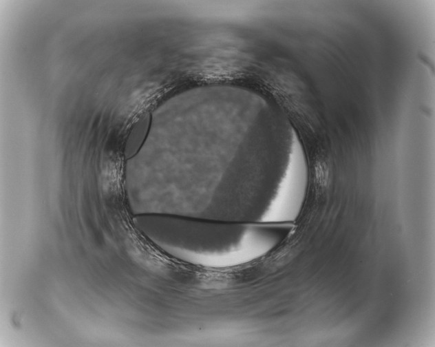 X0000102041300200808151357