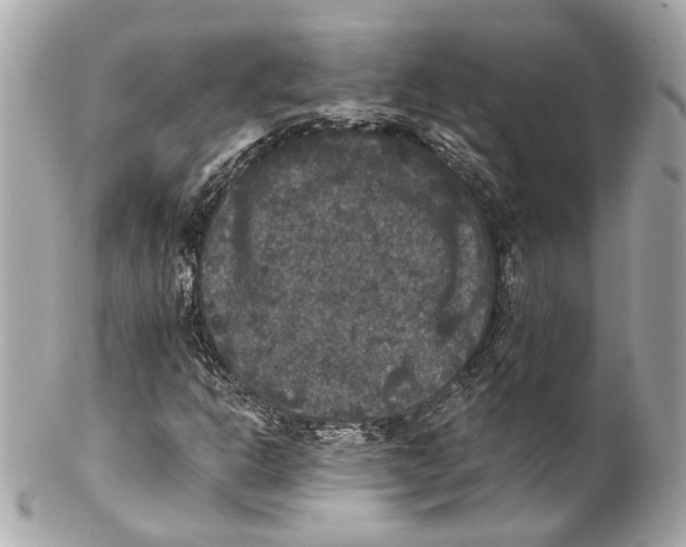 X0000102041302200808151357