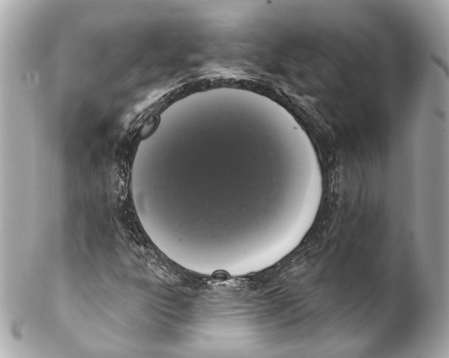 X0000102041303200808151357