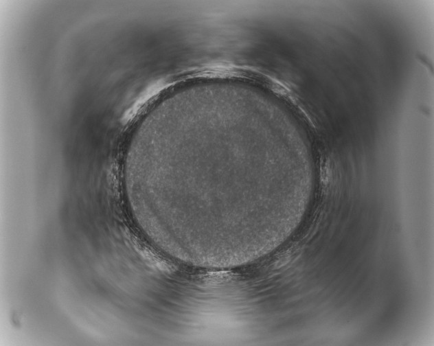 X0000102041304200808151357