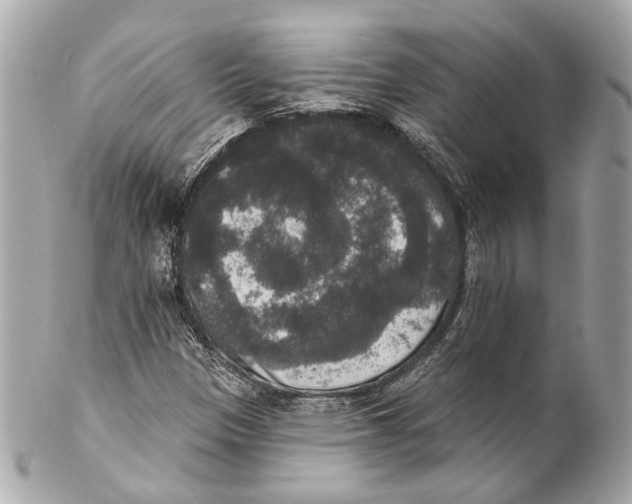 X0000102041305200808151357
