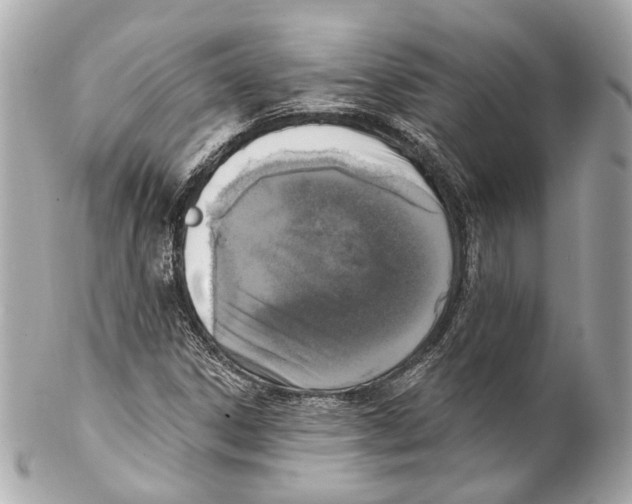 X0000102041306200808151357