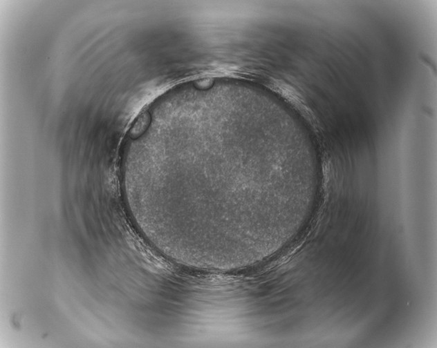 X0000102041308200808151357