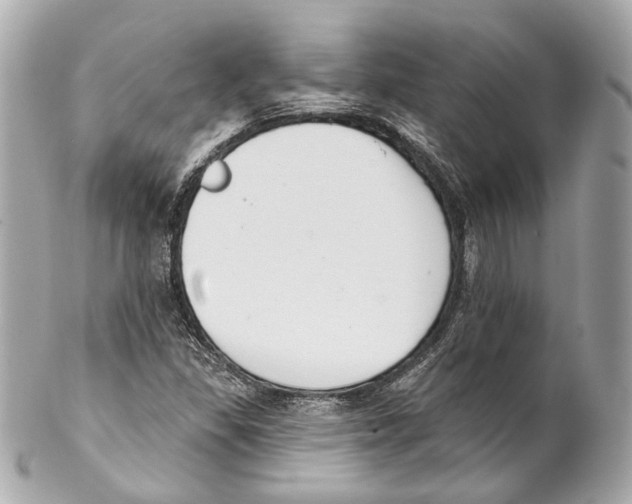 X0000102041309200808151357