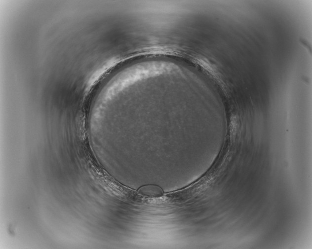 X0000102041310200808151357