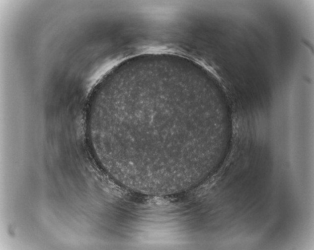X0000102041311200808151357