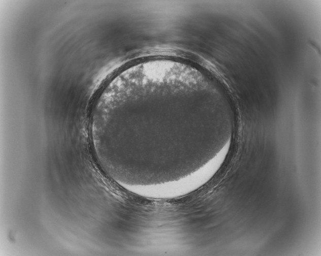 X0000102041312200808151357