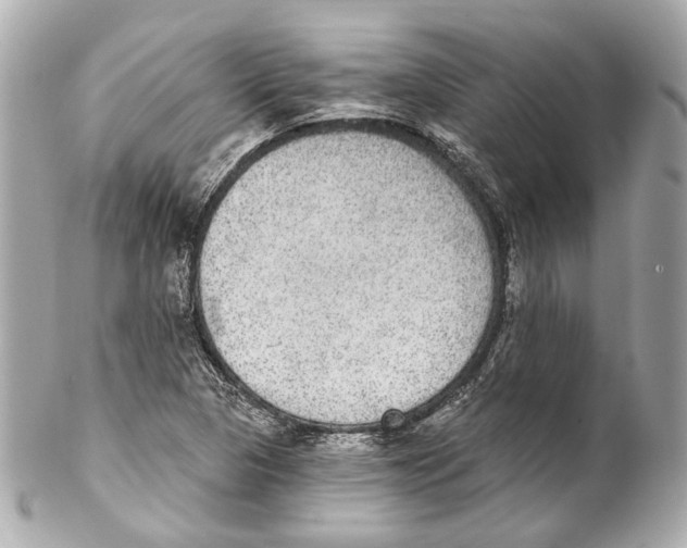 X0000102041313200808151357