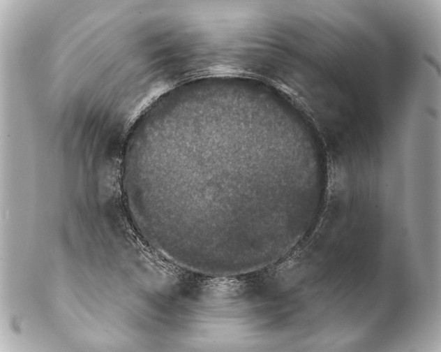 X0000102041314200808151357
