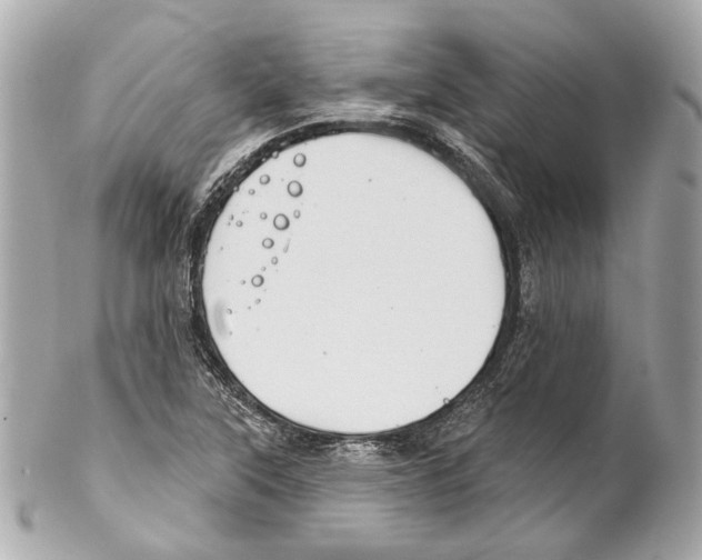 X0000102041315200808151357