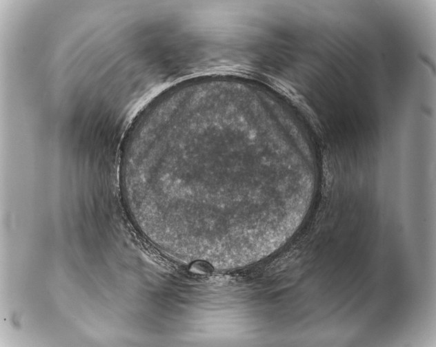 X0000102041316200808151357