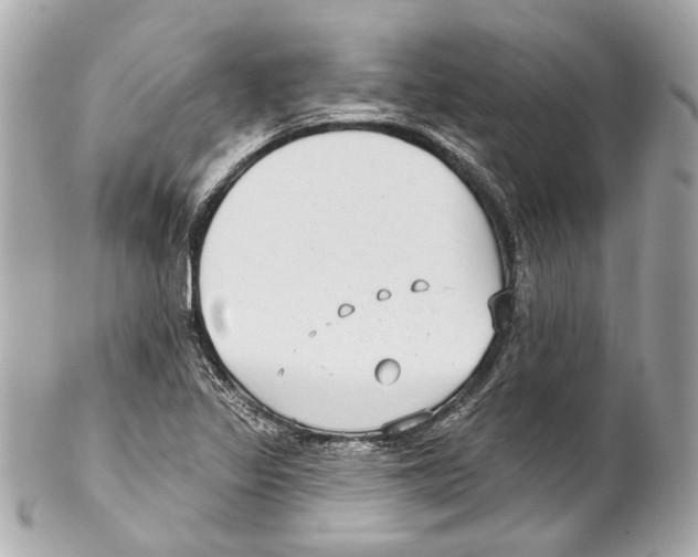 X0000102041317200808151357