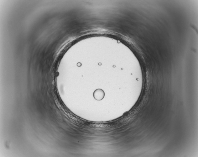 X0000102041318200808151357