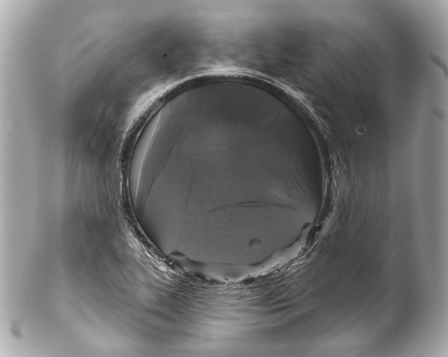 X0000102041319200808151357