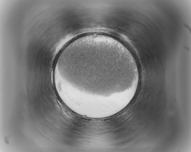 X0000102041320200808151357