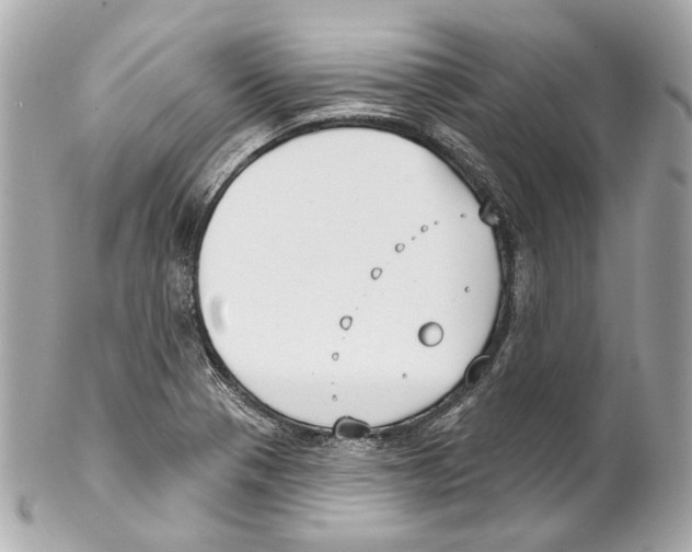 X0000102041321200808151357