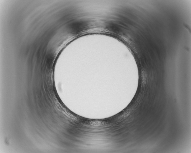 X0000102041322200808151357