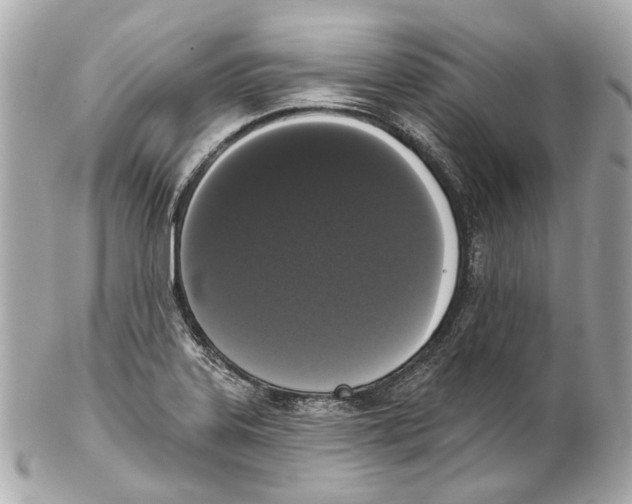 X0000102041323200808151357
