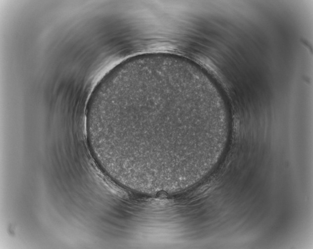X0000102041324200808151358