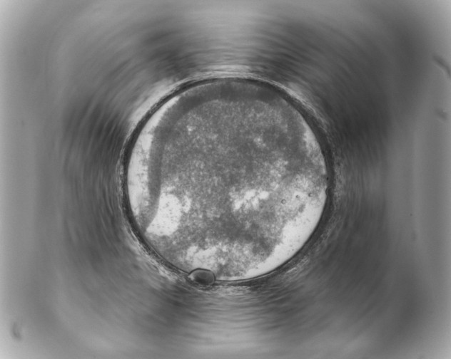 X0000102041325200808151358