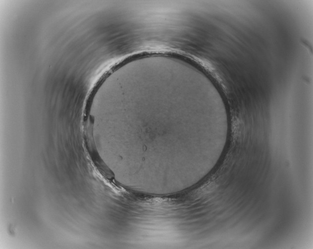 X0000102041327200808151358