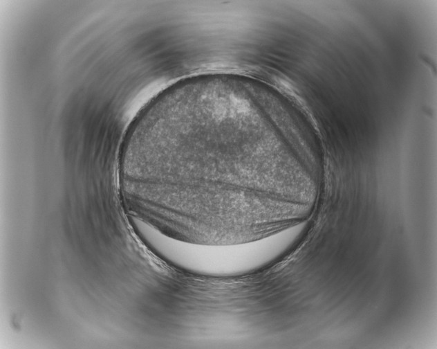 X0000102041328200808151358