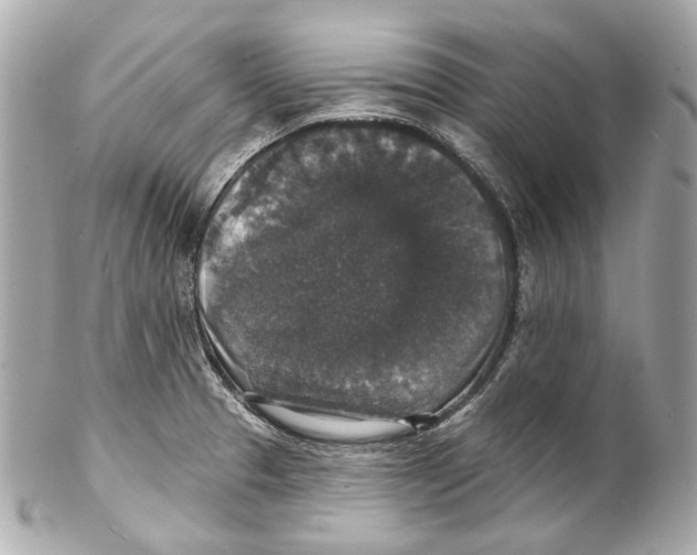 X0000102041329200808151358
