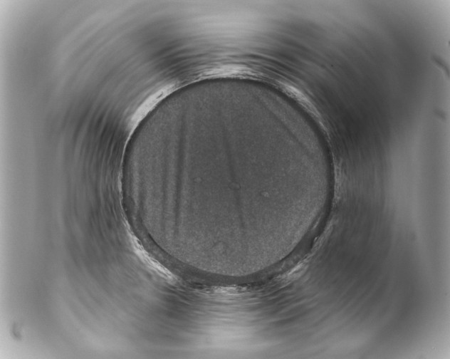 X0000102041330200808151358