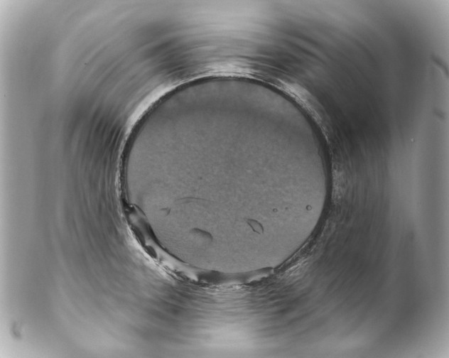 X0000102041331200808151358