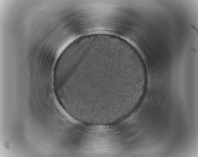 X0000102041333200808151358