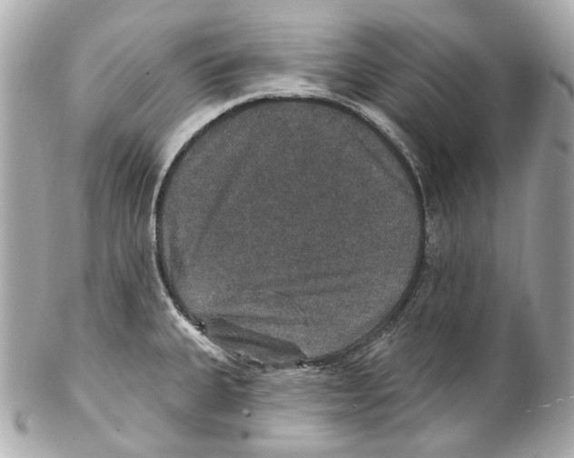 X0000102041335200808151358