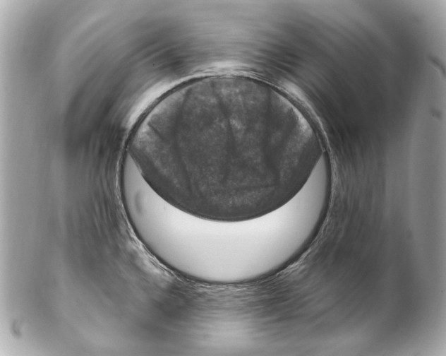 X0000102041336200808151358