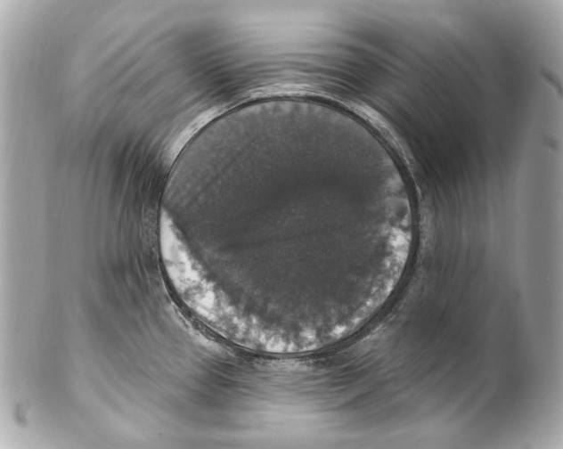 X0000102041337200808151358