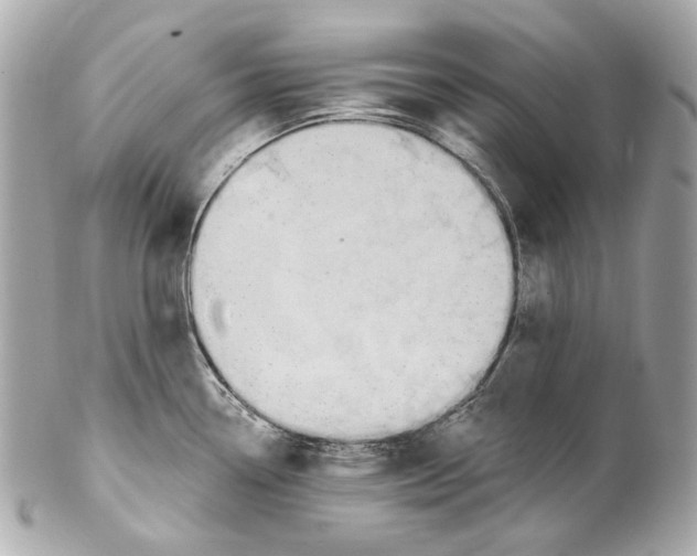 X0000102041338200808151358