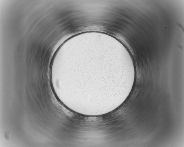X0000102041339200808151358