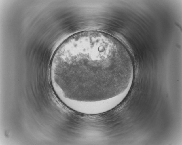 X0000102041340200808151358