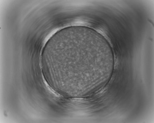 X0000102041342200808151358