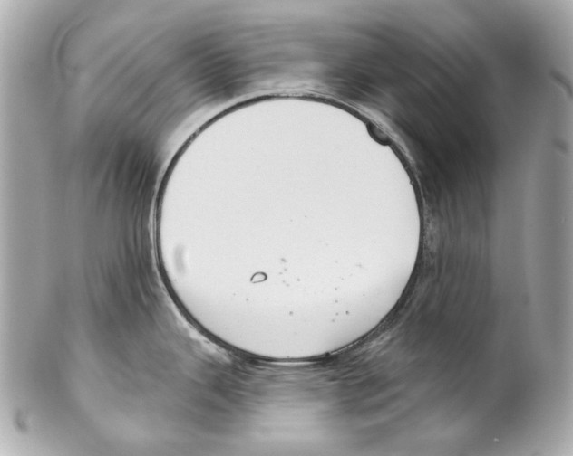 X0000102041343200808151358