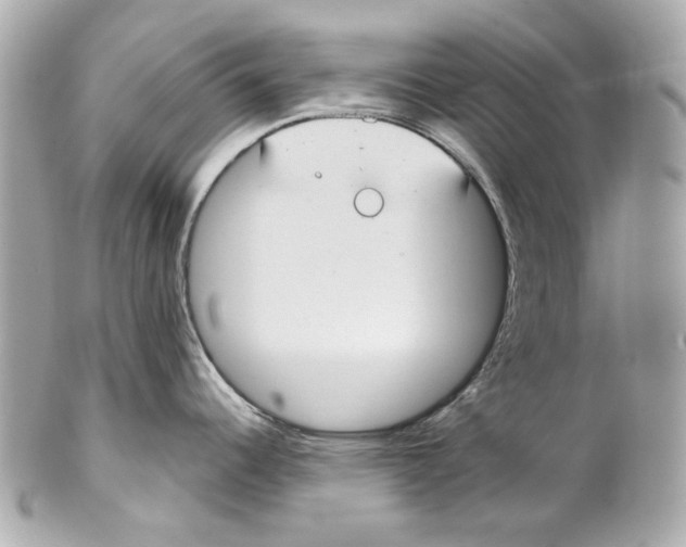 X0000102041344200808151358
