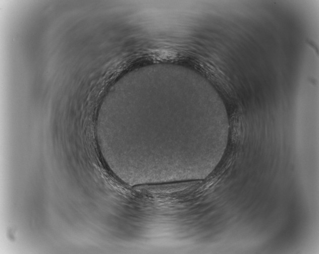 X0000102041345200808151357