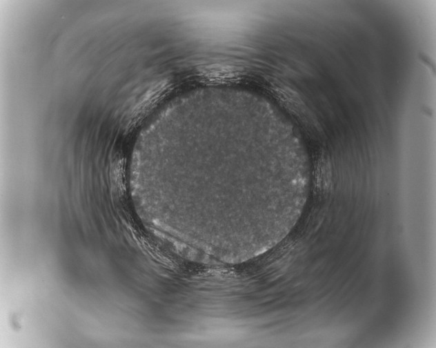 X0000102041346200808151357